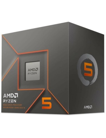 Processeur - AMD - Ryzen 5 - 8500G