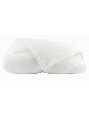 TOISON D'OR - Couette Daisy chaude (300g/m²)- 240x260cm - Plumette et duvet - 2 personnes - Blanc