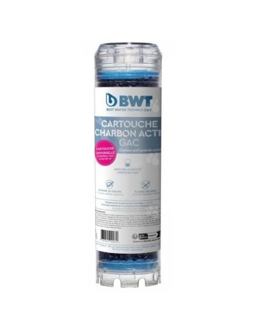 Cartouche - BWT - charbon actif granulé - Capacité de traitement d'environ 6 mois