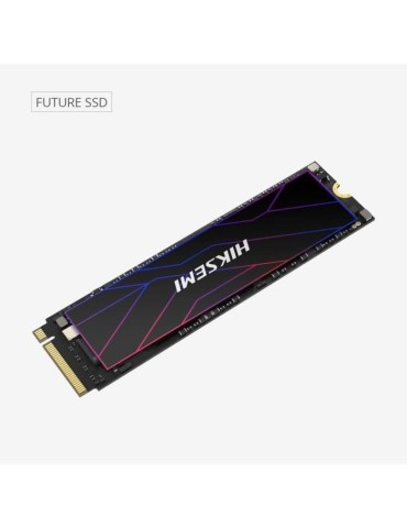 HIKSEMI - SSD Interne - 1024Go - M.2 - Future PCIe Gen 4x4, NVMe 7450MB/s 6600MB/s (HS-SSD-FUTURE(STD)/1024G/PCIE4)