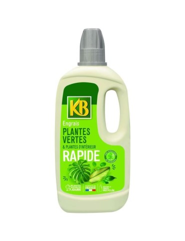 Engrais Rapide Plantes Vertes Et Plantes D'intérieur 1L