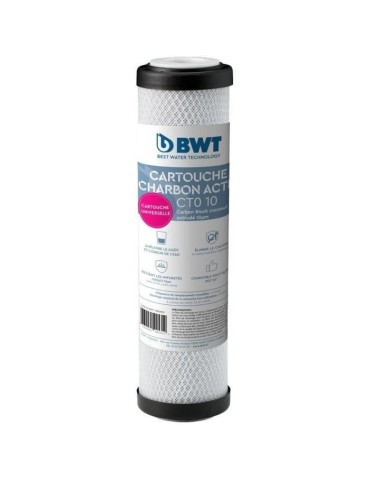 Cartouche - BWT - CARBOFILTER 93/4-10µm - Supprime particules fines de l'eau