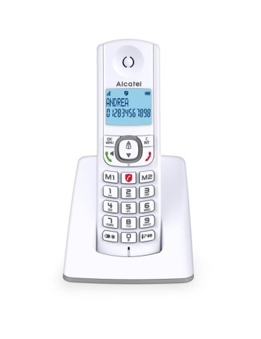 Téléphone sans fil - ALCATEL - F530 - Solo Gris