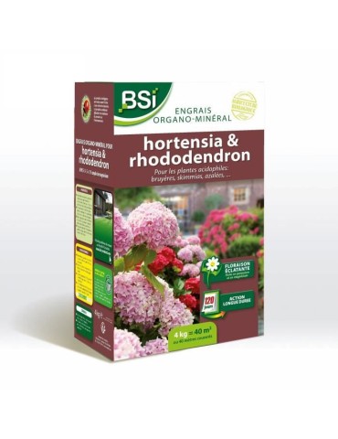 BSI - Engrais Hortensias/Rhododendrons - Pour Tous les Hortensias / Rhododendrons - Action Longue Durée - 4kg - Jusqu'a 40 m²