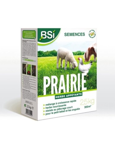 BSI - Semences de Gazon - Prairie - Haute qualité - Grande Surface - Jusqu'a 375m² - 7,5Kg